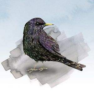 Une aquarelle représentant un étourneau