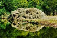 Hooiberg langs het water