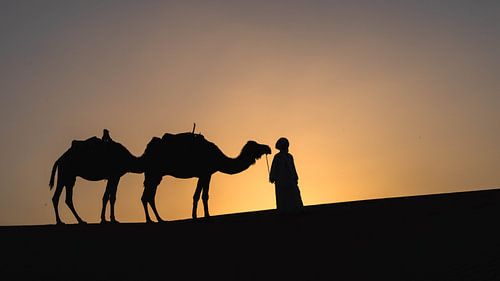 The silhouette
