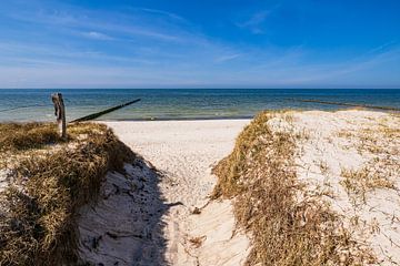 Strand am Gellen auf der Insel Hiddensee von Rico Ködder
