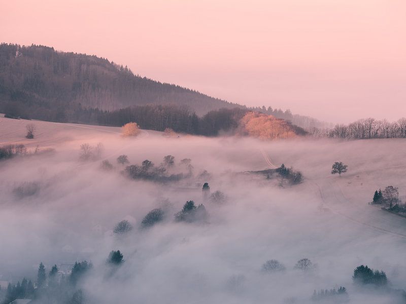 Winter morning fog on the sand of Heubach by Max Schiefele