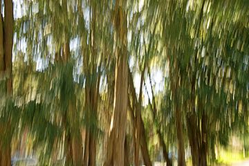 'Wuivende'  bomen van BriGit Stokman