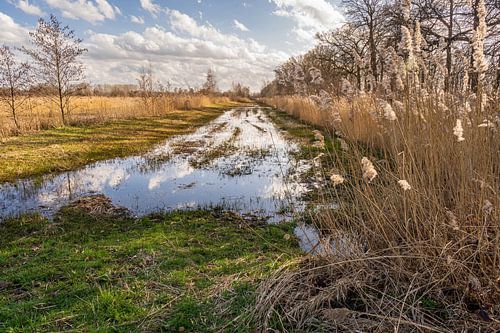 Natura 2000 landschap Westelijke Langstraat