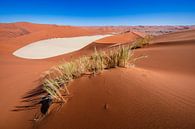 Dunes de sable rouge autour de Dodevlei / Deadvlei près de Sossusvlei, Namibie par Martijn Smeets Aperçu