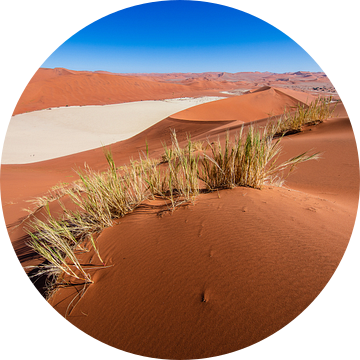 Rode zandduinen rond de Dodevlei / Deadvlei nabij de Sossusvlei, Namibië van Martijn Smeets