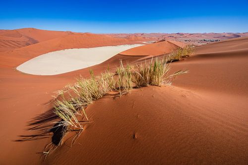 Dunes de sable rouge autour de Dodevlei / Deadvlei près de Sossusvlei, Namibie
