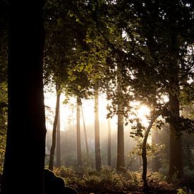 Magische hollandse zonsopgang 3 van Danielle Kramer