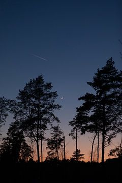 National Park de Hoge Kempen België ondergaande zon van Amber den Oudsten