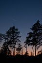 Nationalpark der Hoge Kempen Belgien Sonnenuntergang von Amber den Oudsten Miniaturansicht