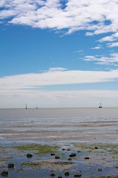 `t wad von Mark Scholten