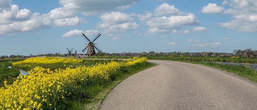 Dutch landscape in spring by Kees van der Rest