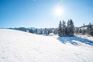 Winteruitzicht vanaf Sinswanger Moos bij Oberstaufen met uitzicht op de Hochgrat van Leo Schindzielorz