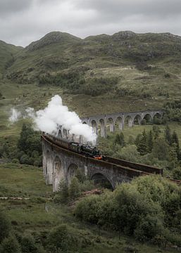 Train à vapeur sur le viaduc de Glenfinnan en Écosse (Harry Potter)