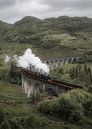 Dampfzug über das Glenfinnan-Viadukt in Schottland (Harry Potter) von fromkevin Miniaturansicht
