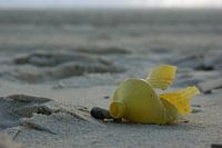 Bottle on the beach