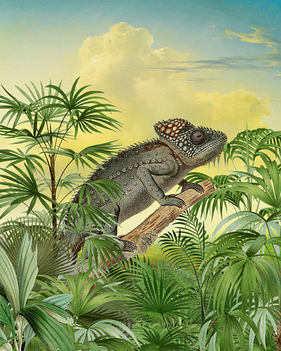 the Warty Chameleon by Marja van den Hurk