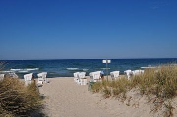 weiße Strandkörbe am Nordstrand in Göhren auf Rügen