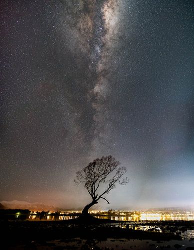Melkweg boven That Wanaka tree