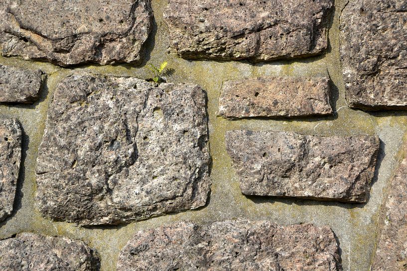 historische mittelalterliche Stadtmauer aus Naturstein in Magdeburg von Heiko Kueverling