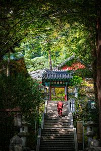 Temple Ssangyesa Hadong Corée du Sud