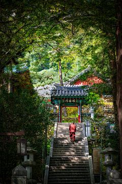 Ssangyesa-Tempel Hadong Südkorea