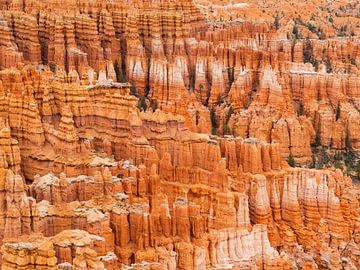 Bryce Canyon by Arnold van Wijk