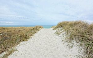 Weg über die Dünen zur Ostsee
