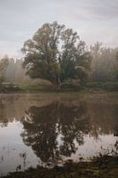 Reflectie van het leven