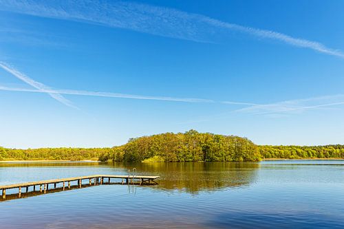 Bäume und Steg am Langhagensee im Frühling in Lärz von Rico Ködder
