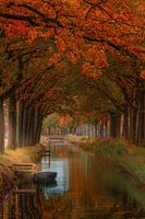 Romantische schildersachtige herfst