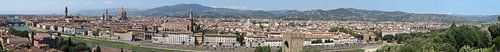 Florence panorama