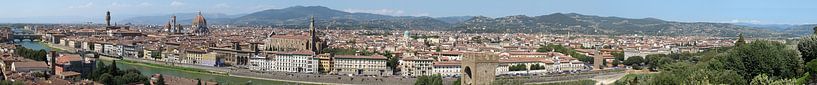 Florence panorama van Carel van der Lippe