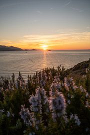 Sunset on Elba with a view of the sea & by boat by Leo Schindzielorz
