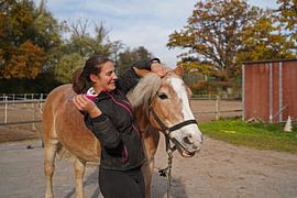 Preparation of the horse before training