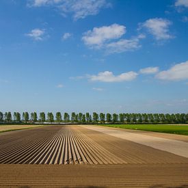 Landschap in Nederland van jaldert kraaijeveld