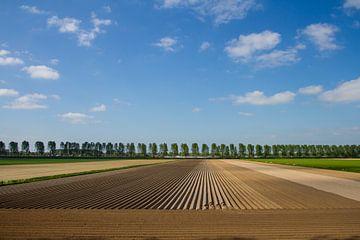 Landschap in Nederland van jaldert kraaijeveld