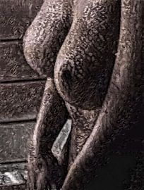 Een naakte vrouw met grote Borsten van The Photo Artist