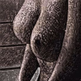 Een naakte vrouw met grote Borsten van The Photo Artist
