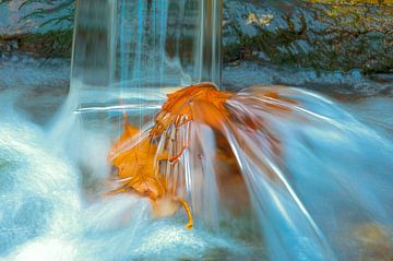 Das braune Blatt unter dem erfrischenden Wasserfall von Ina Bouhuijzen