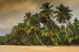 Sao Tome and Principe, Westafrika