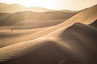 Sahara zonnestralen