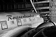 Rozijnenbommenwerper in Berlijn-Tempelhof van Frank Herrmann thumbnail