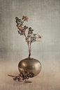 Hydrangea. Soft pride. Grey. by Alie Ekkelenkamp thumbnail
