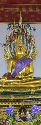 Under the protection of the seven-headed Naga