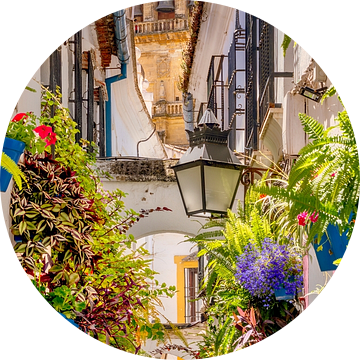 Cordoba Oude Stad , Spanje