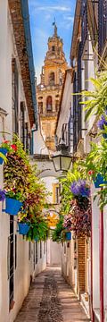 Cordoba Old Town , Spain by Voss photography