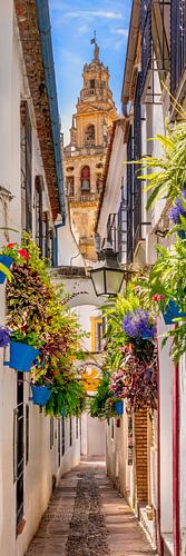 Cordoba Oude Stad , Spanje van Voss fotografie