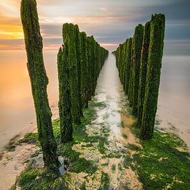 Path to the horizon by Steven Put