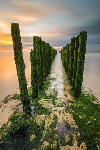 Path to the horizon by Steven Put
