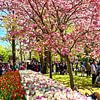 Keukenhof - le plus beau parc printanier du monde sur Franz Walter